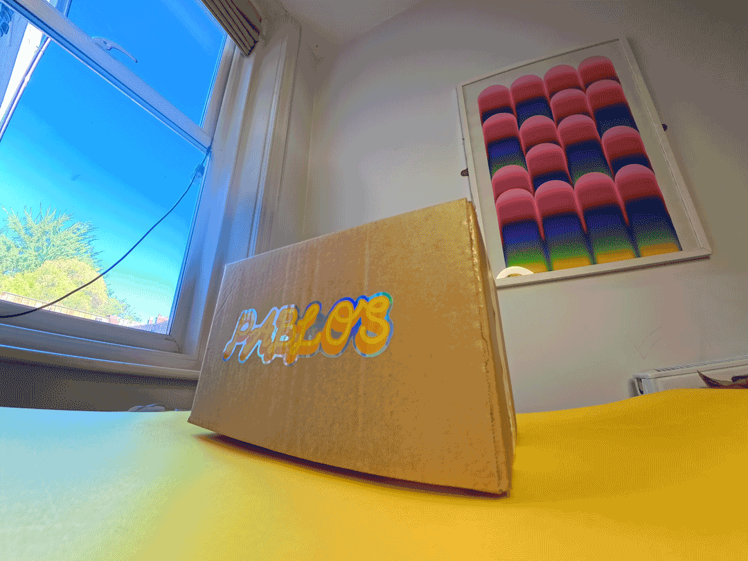 Christmas Kit- Veggie